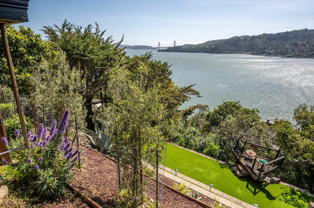 331 Golden Gate Avenue , Belvedere #66
