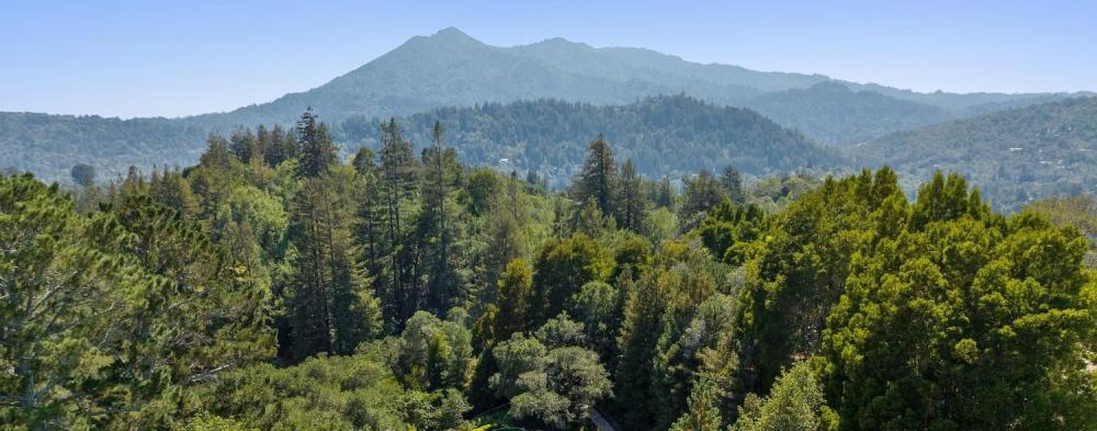 50 Makin Grade, Kentfield (Ross School District) #62