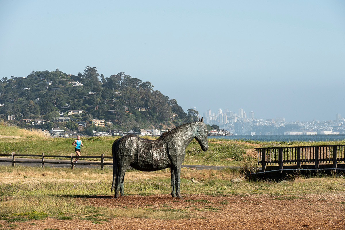 24 North Terrace, Tiburon #60