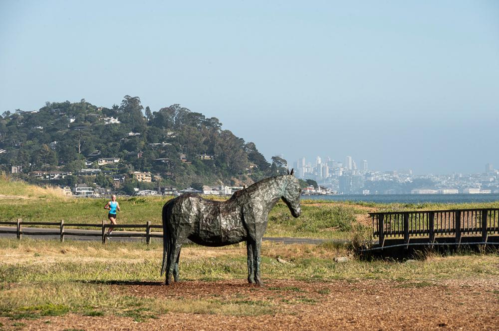 24 North Terrace, Tiburon #60