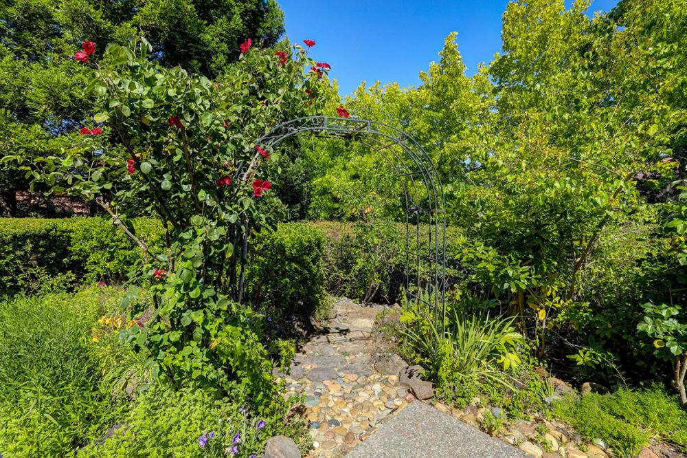 17 Silk Oak Circle, San Rafael #46