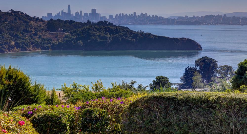 25 Gilmartin Drive, Tiburon #1