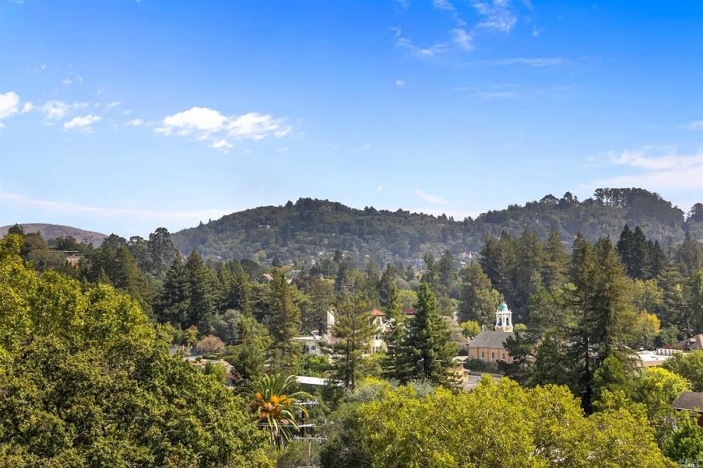 14 Cedar Ave, Larkspur #1