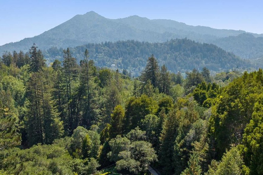 179 Lagunitas Rd, Ross #1