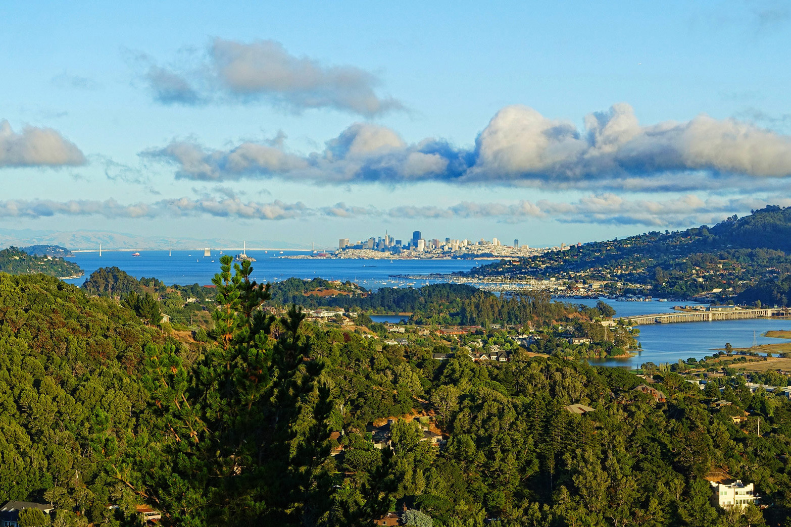 70 Lee Street, Mill Valley #1