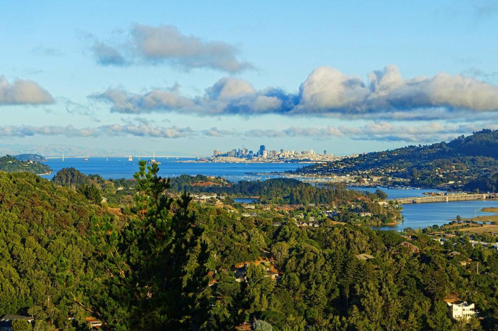 70 Lee Street, Mill Valley #1