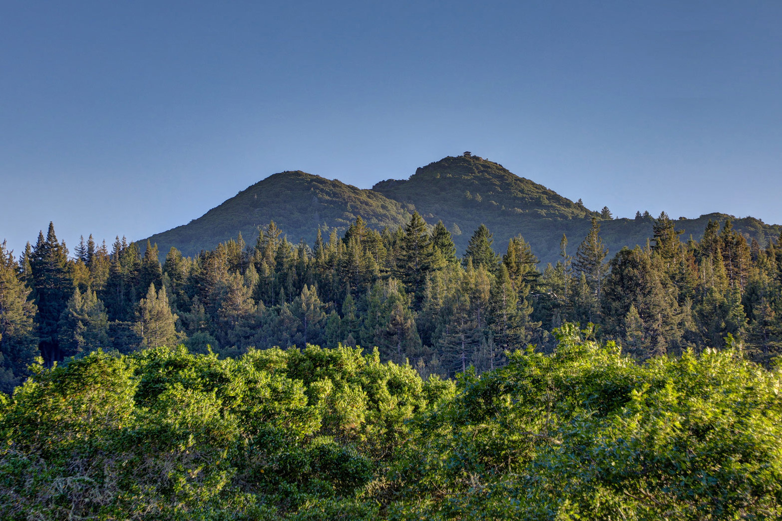 33 Evergreen Drive, Kentfield #1