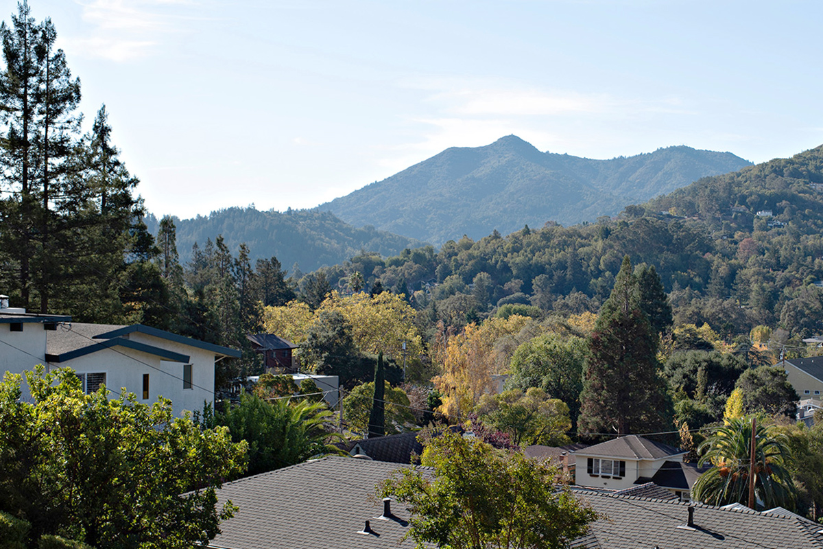64 Barber Ave, San Anselmo #1