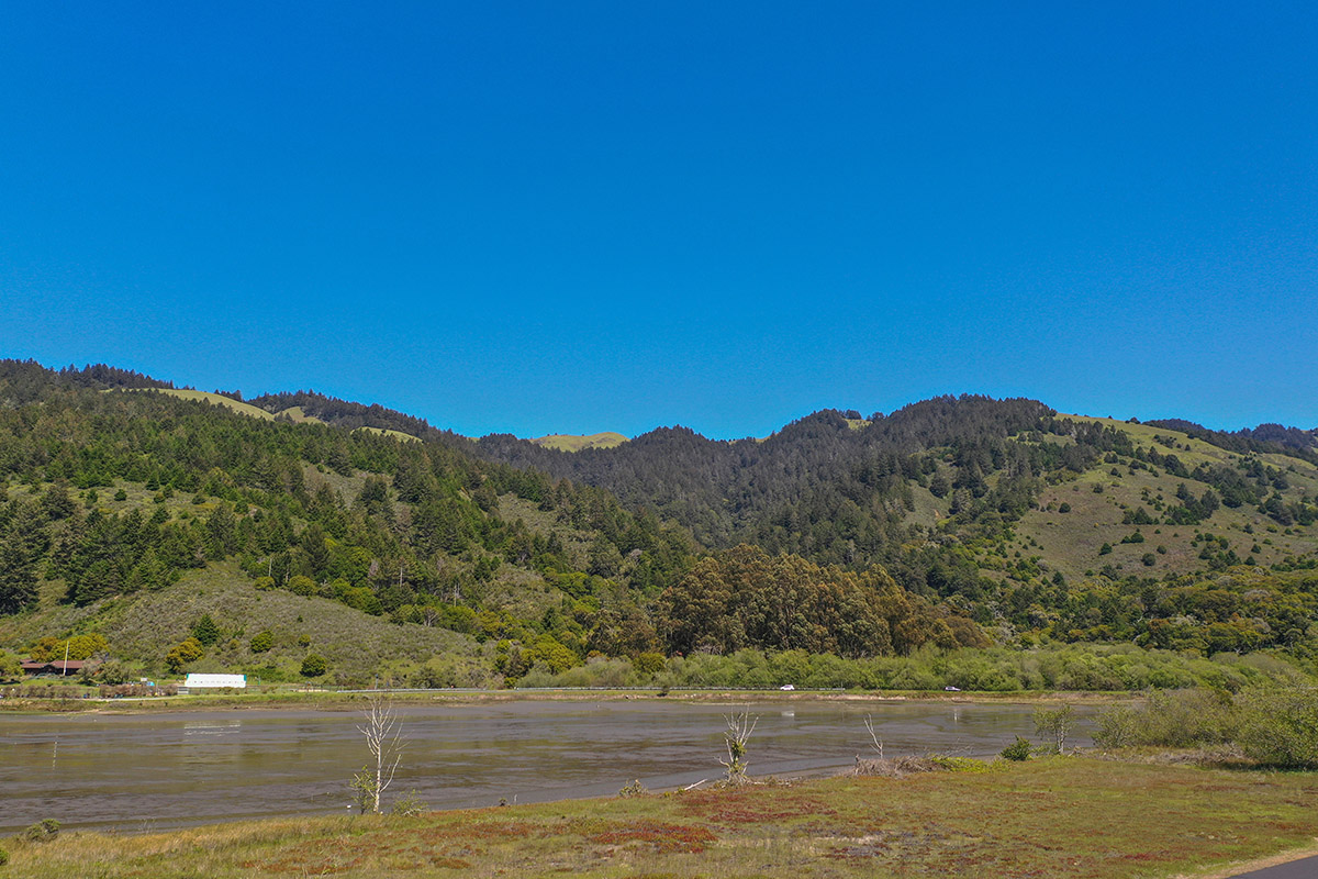63 Dipsea Road, Stinson Beach  #65