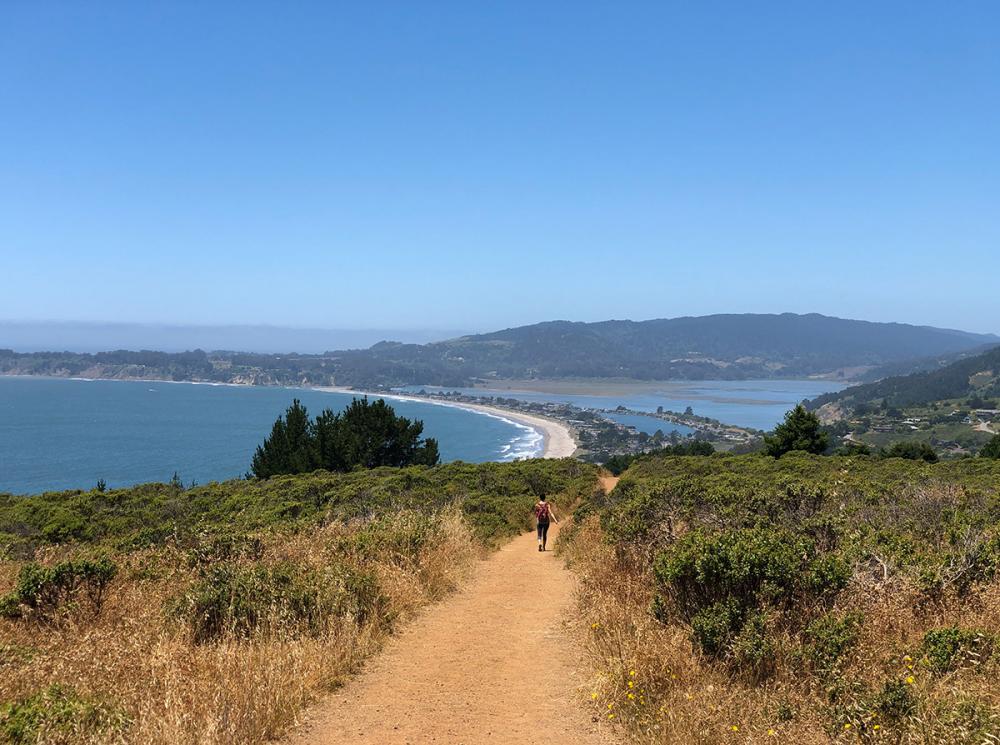63 Dipsea Road, Stinson Beach  #65