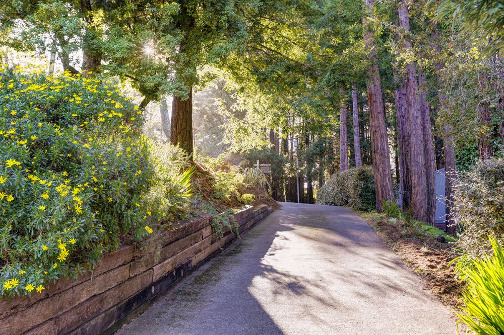 998 Edgewood Avenue, Mill Valley #48
