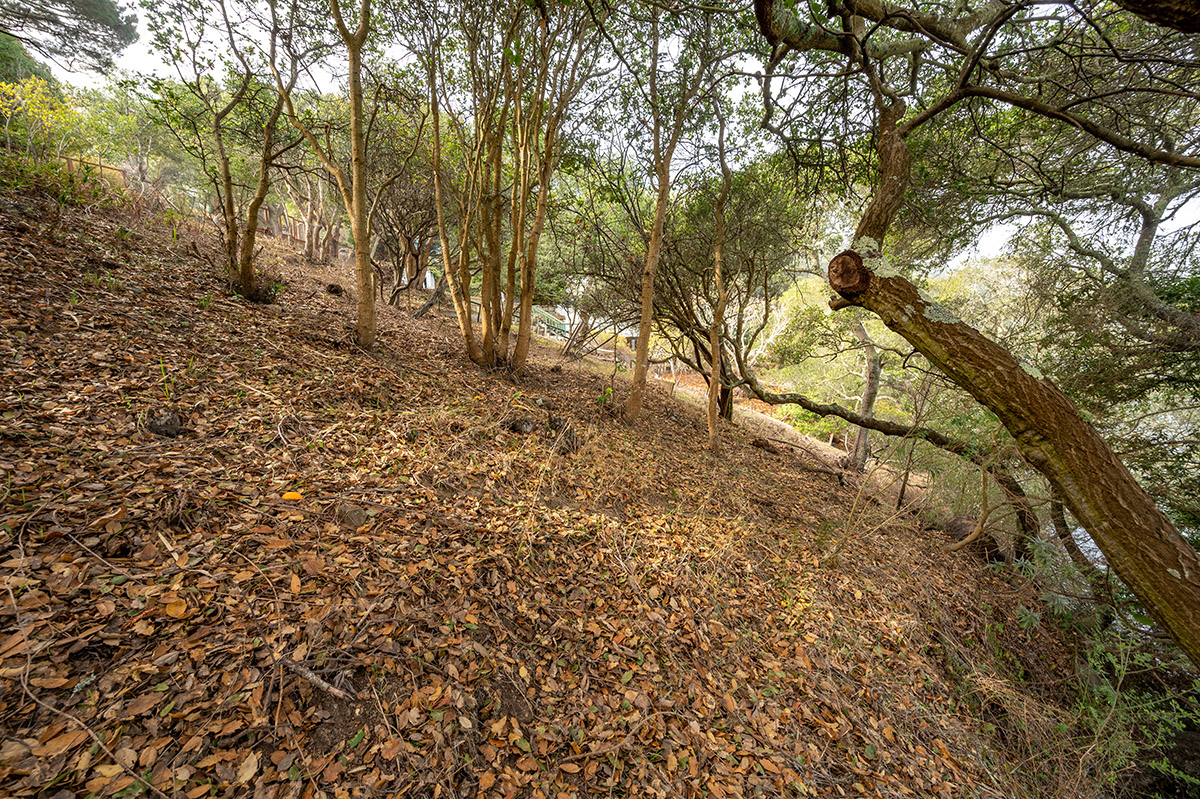 4095 Paradise Drive, Tiburon #19