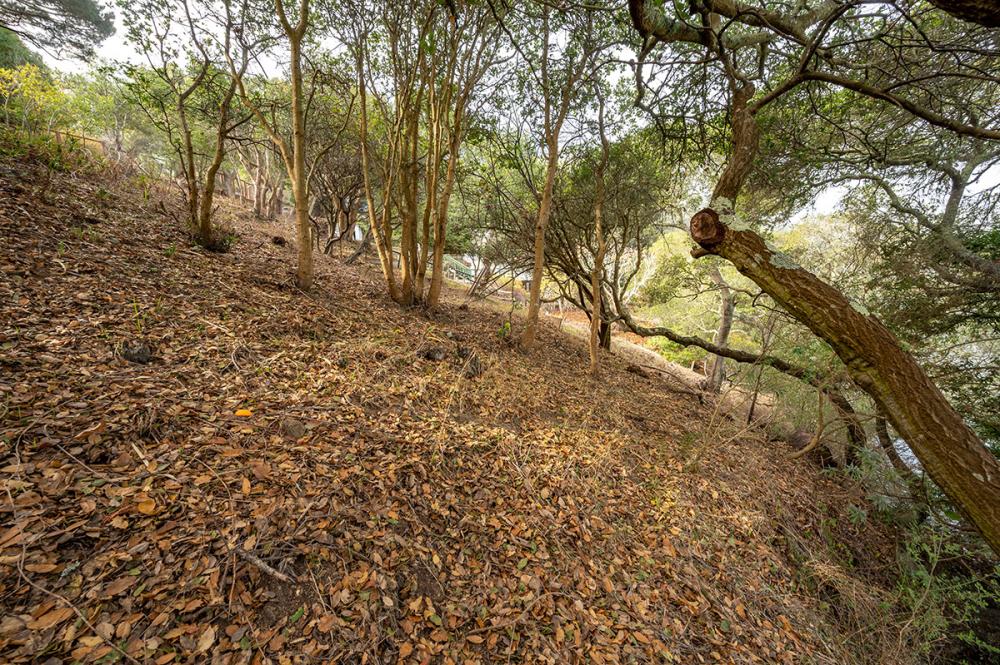 4095 Paradise Drive, Tiburon #19