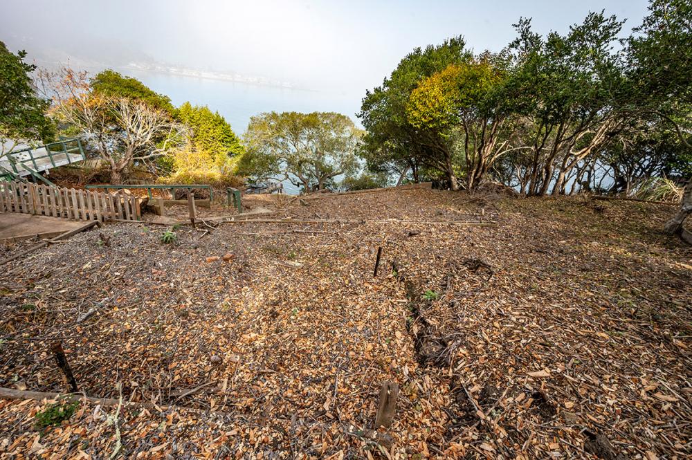 4095 Paradise Drive, Tiburon #19