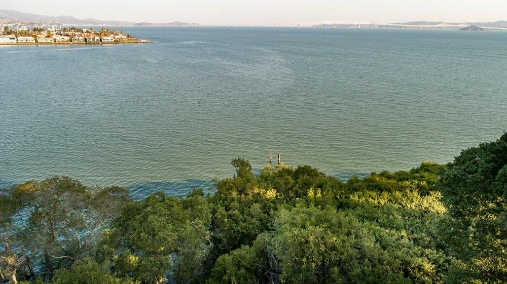4095 Paradise Drive, Tiburon #19