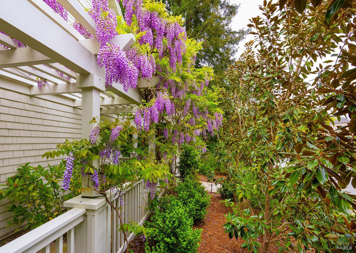 21 Niven Way, Larkspur #82