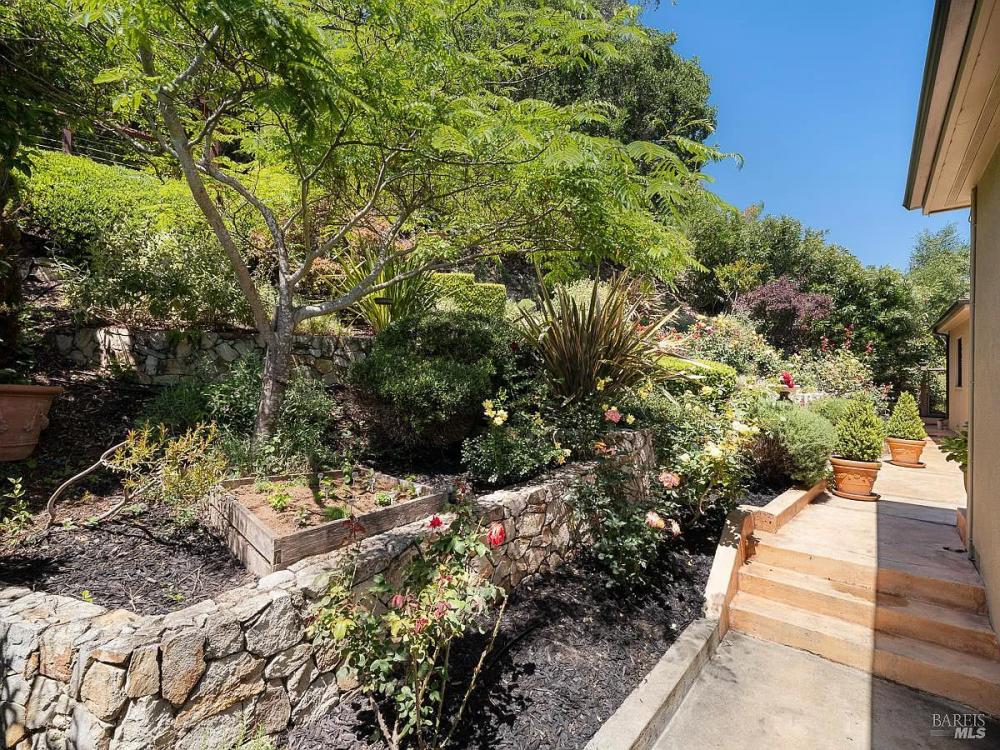110 Walnut Avenue, Corte Madera #62