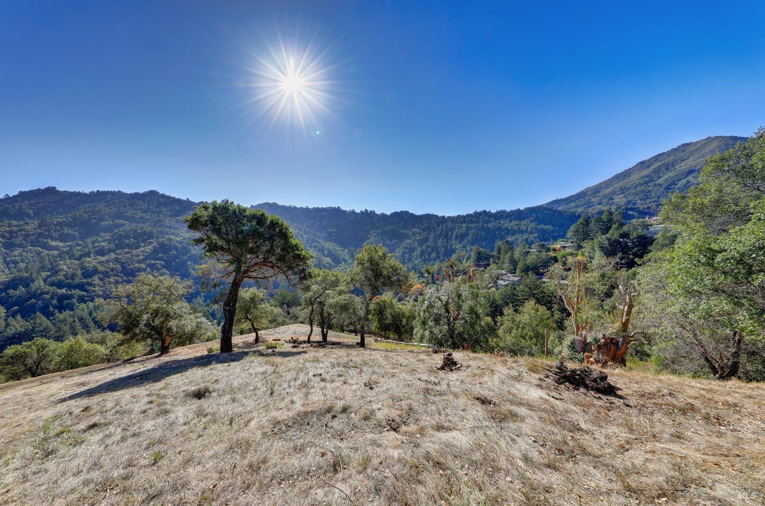 50 Oak Road, Larkspur #23