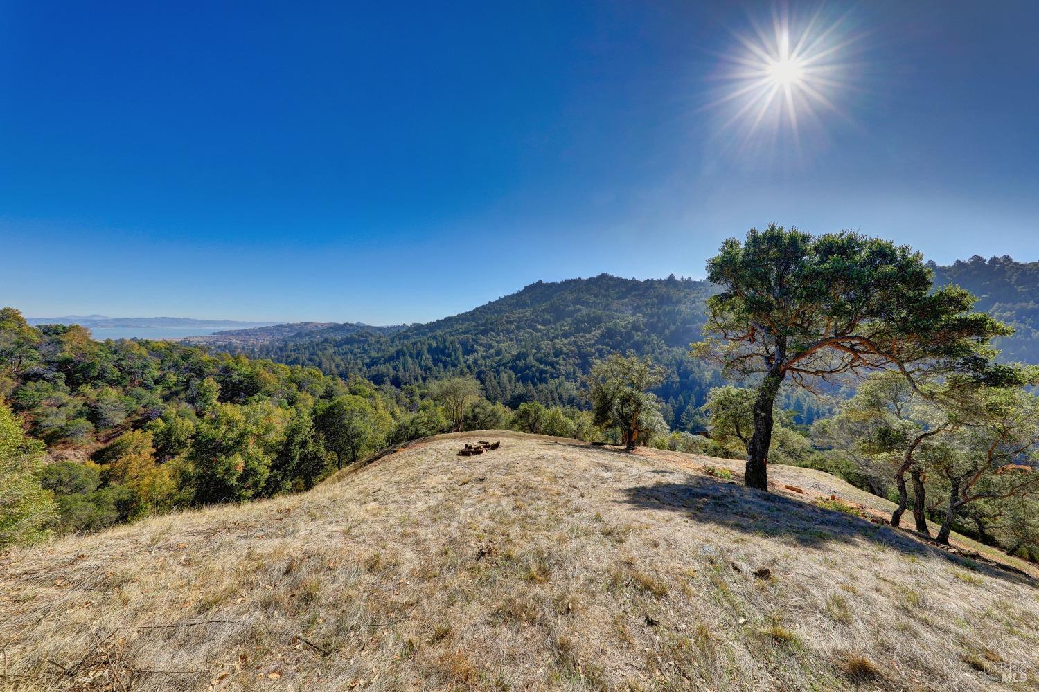50 Oak Road, Larkspur #23