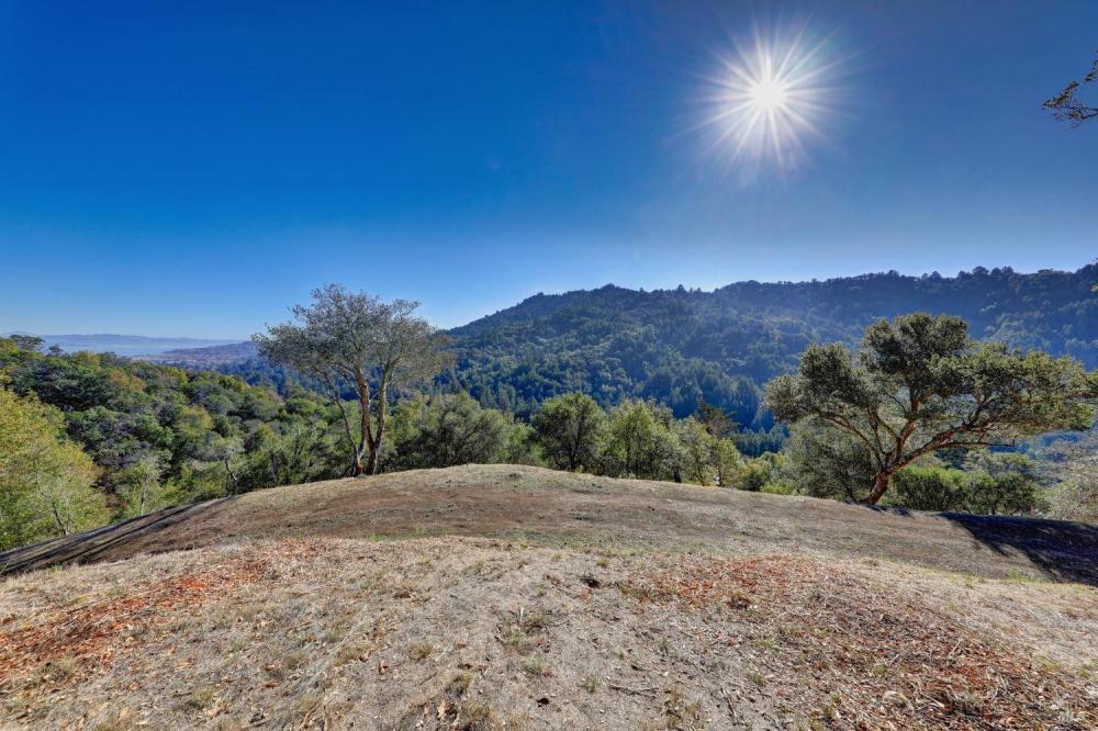 50 Oak Road, Larkspur #23