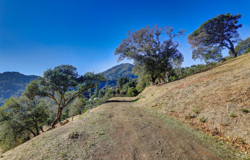 50 Oak Road, Larkspur #23