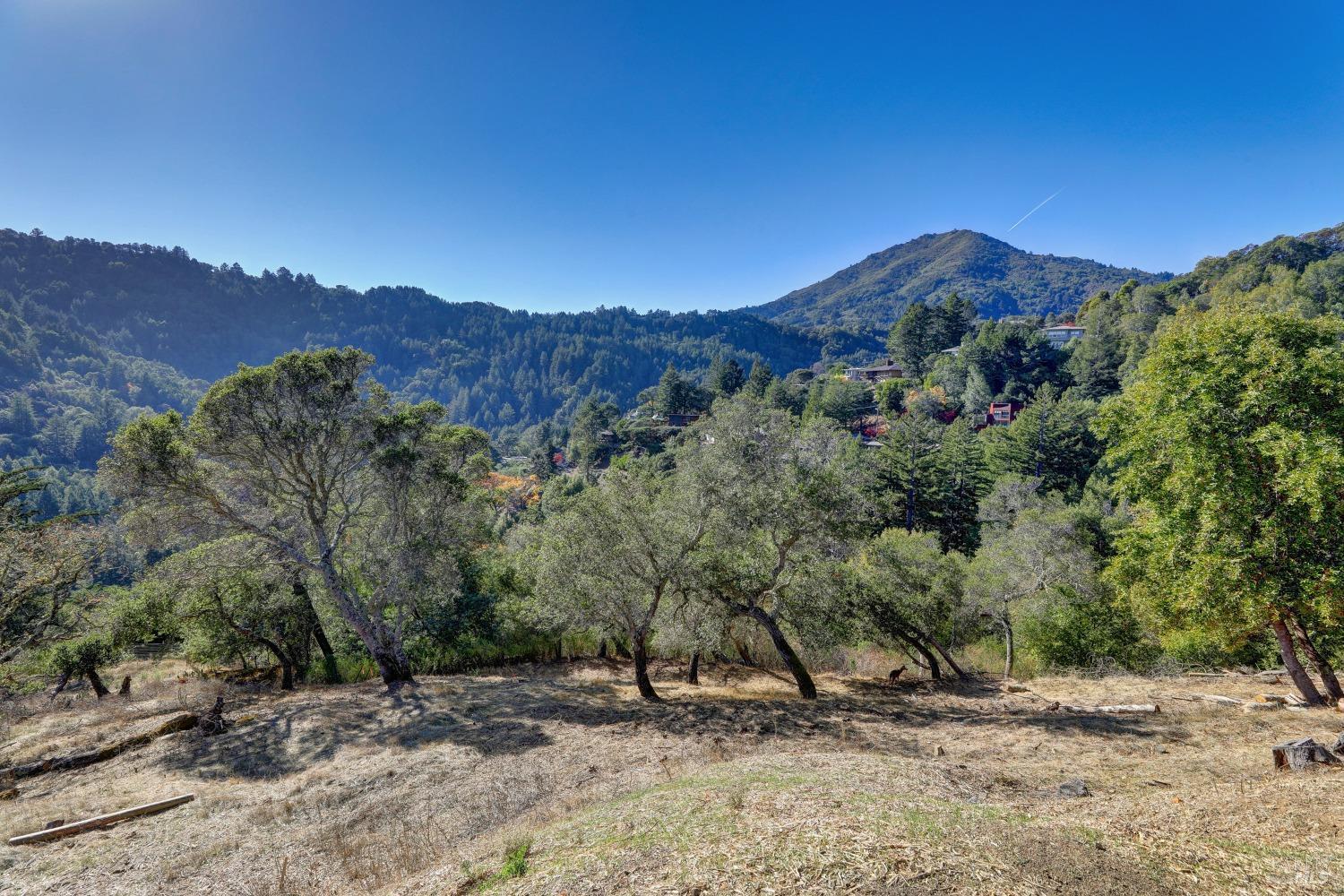 50 Oak Road, Larkspur #23