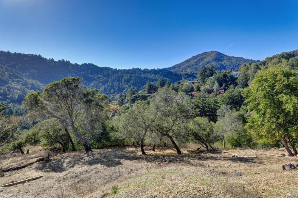 50 Oak Road, Larkspur #23