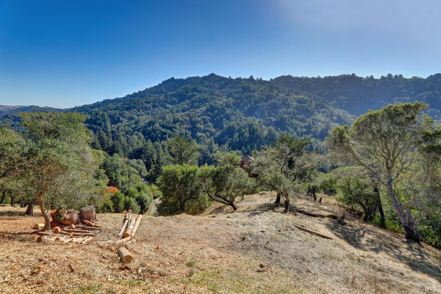 50 Oak Road, Larkspur #23