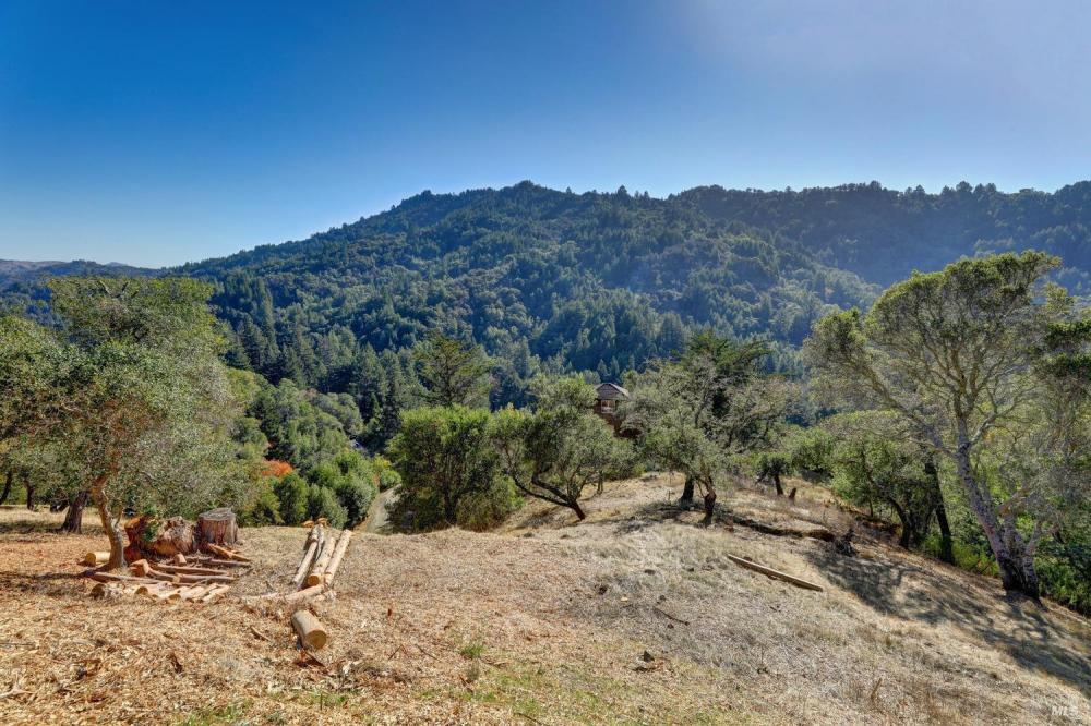 50 Oak Road, Larkspur #23