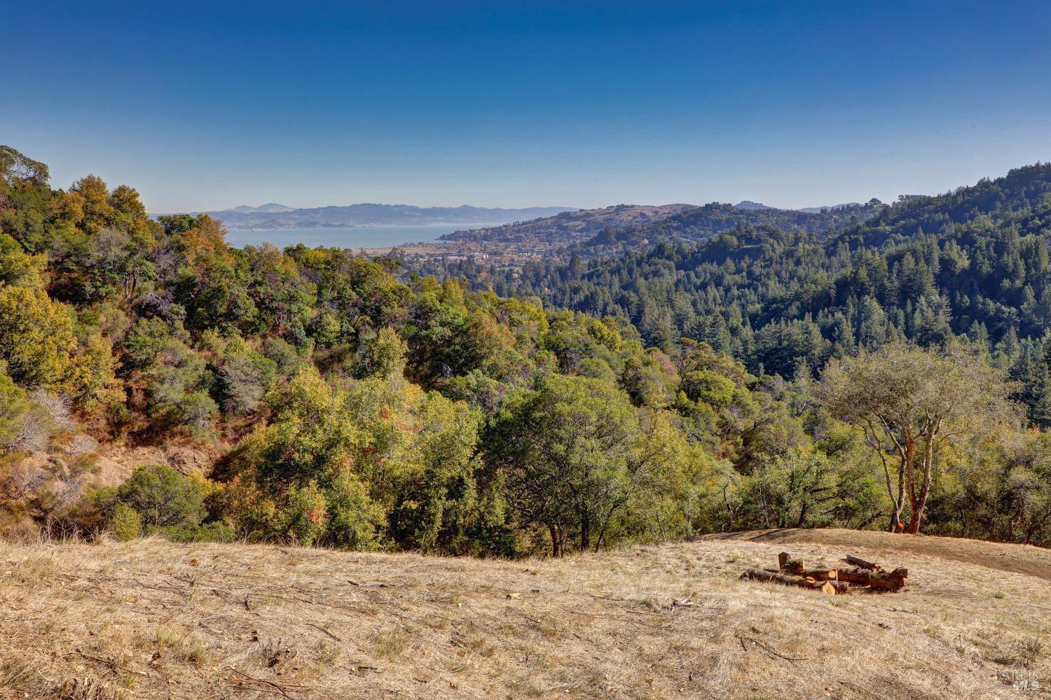 50 Oak Road, Larkspur #23