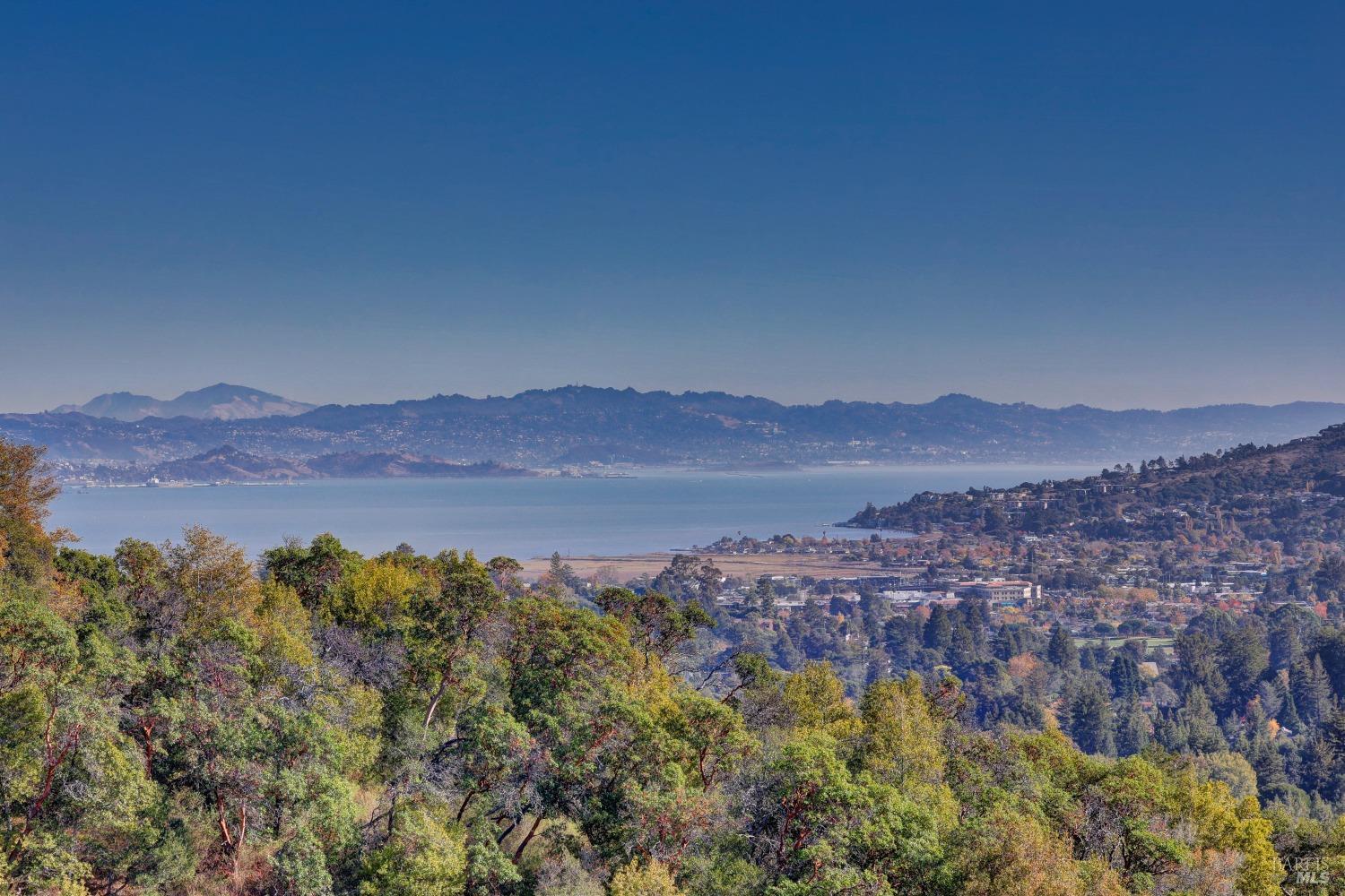 50 Oak Road, Larkspur #23