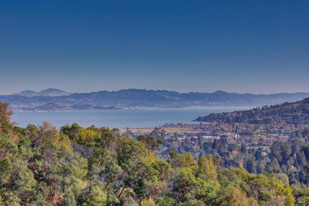 50 Oak Road, Larkspur #23