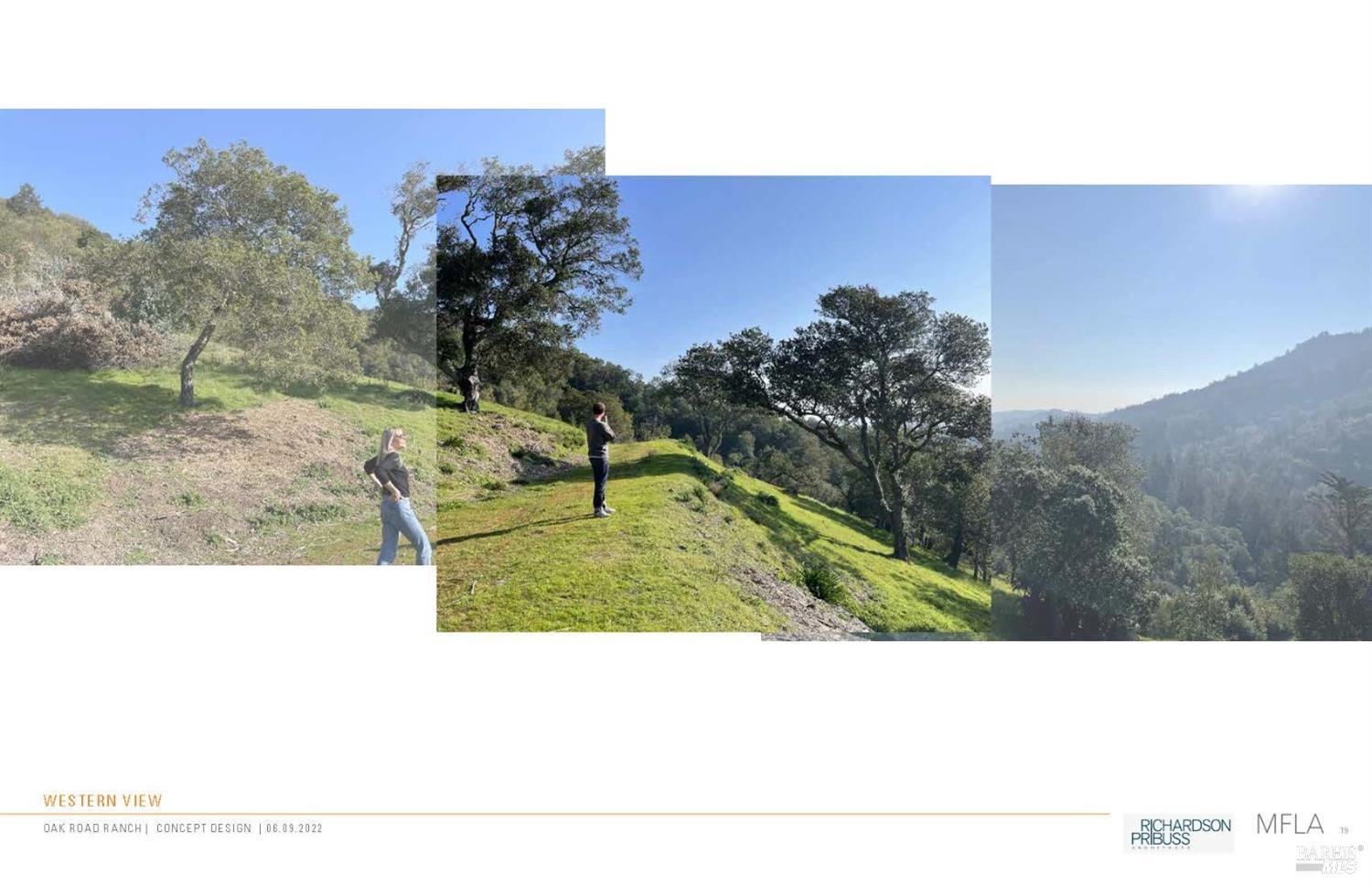 50 Oak Road, Larkspur #23