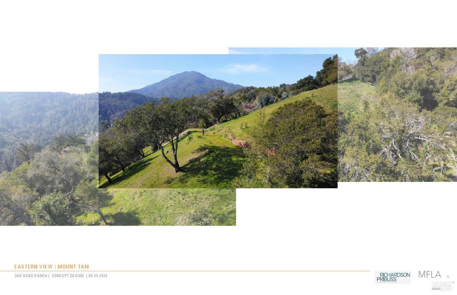 50 Oak Road, Larkspur #23