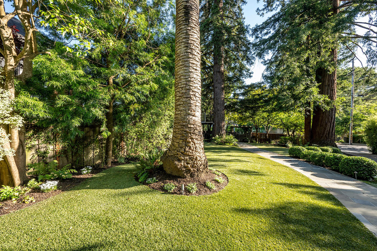 92 Locust Avenue, Mill Valley #62