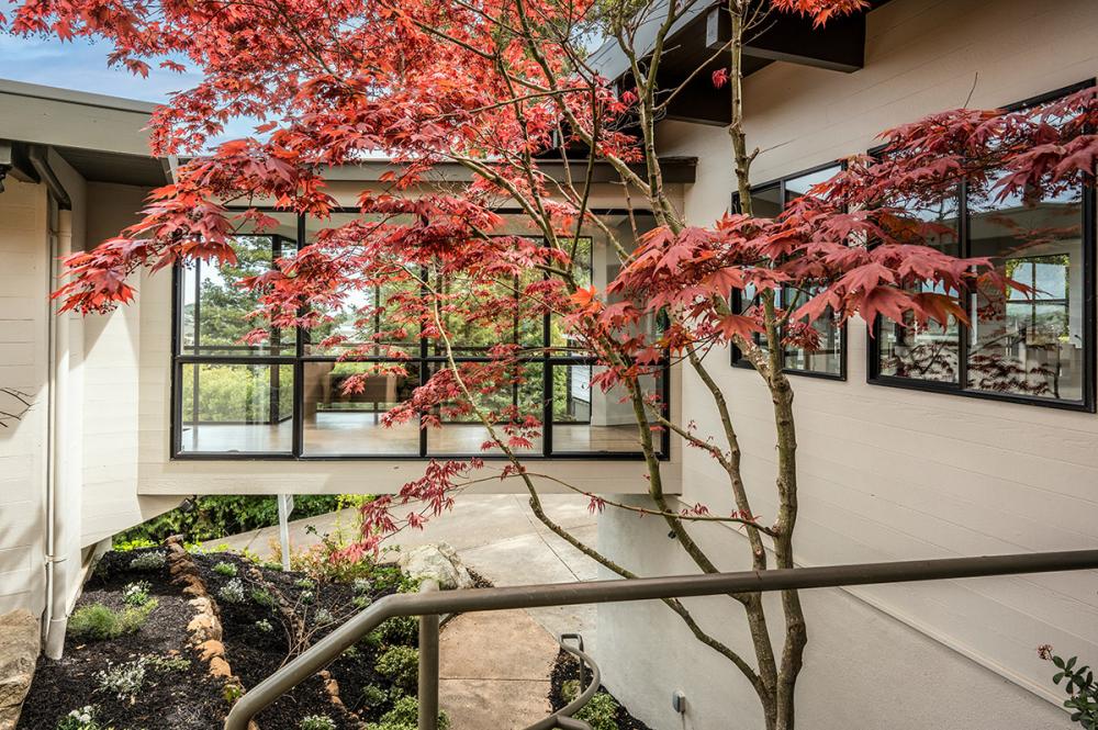 14 Grace Court, Corte Madera #47
