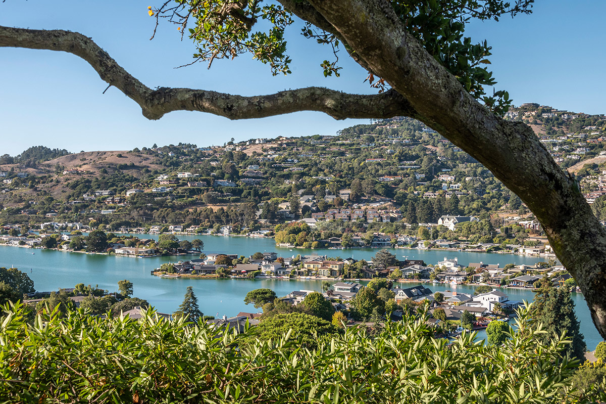 21 Oak Place, Belvedere #43