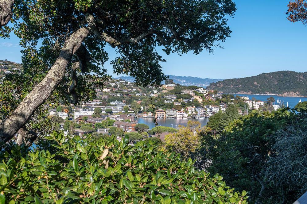 21 Oak Place, Belvedere #43