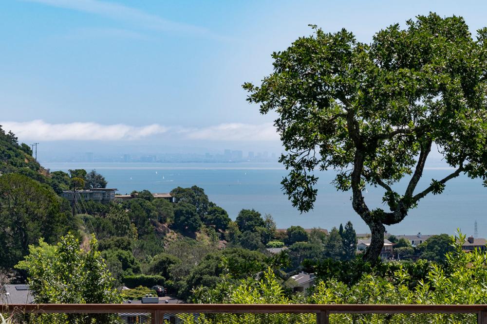 420 Vista Grande, Greenbrae #43