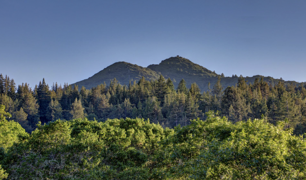 229 Upper Toyon Drive, Kentfield #1
