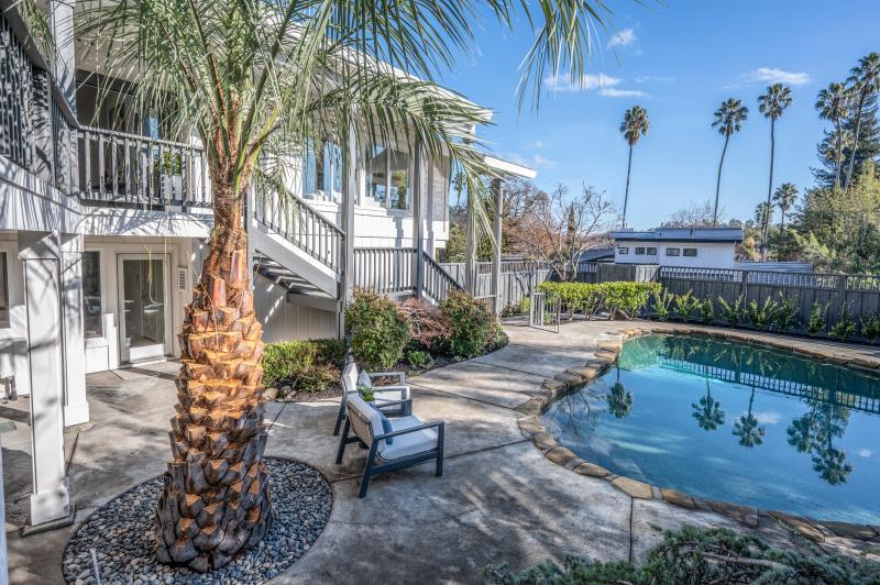 pool and backyard