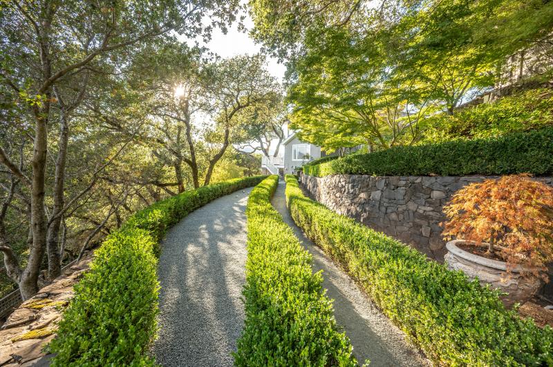 path with trees