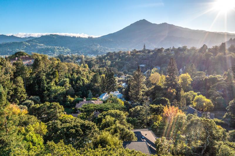 view of Mt. Tam