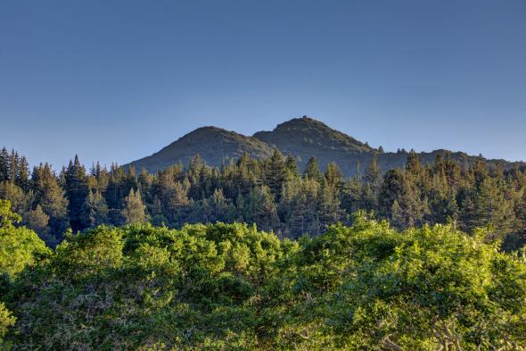 view of Mt. Tam