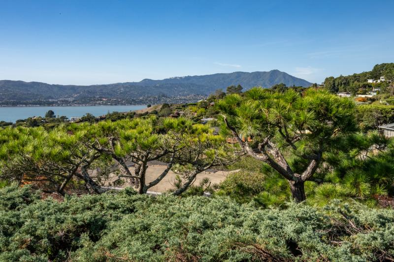 1 Santa Ana Court, Tiburon #66