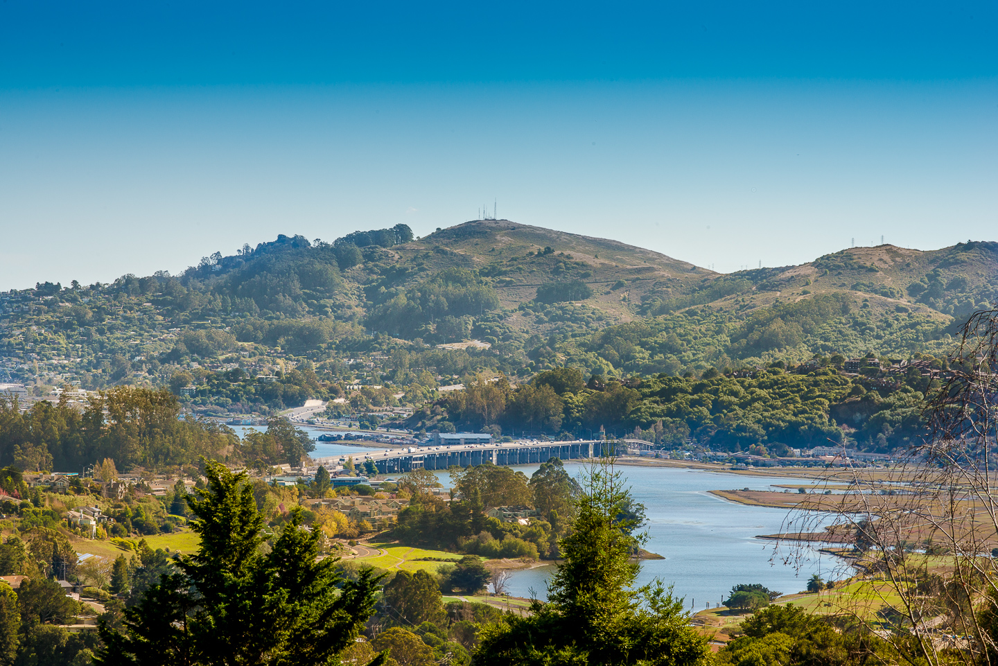 6 Escalon Drive Mill Valley #3